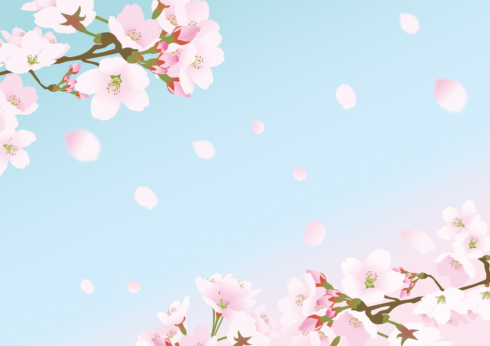 桜の花のバーチャル背景